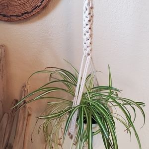 Macrame plant hanger